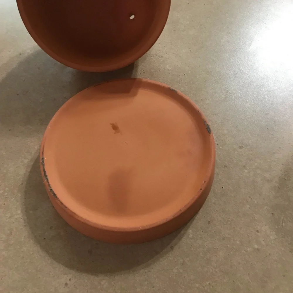 Vintage terra cotta Garlic keeper